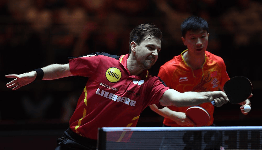 关于奥地利乒乓球队碾压德国乒乓球队，波尔爆发神勇的信息