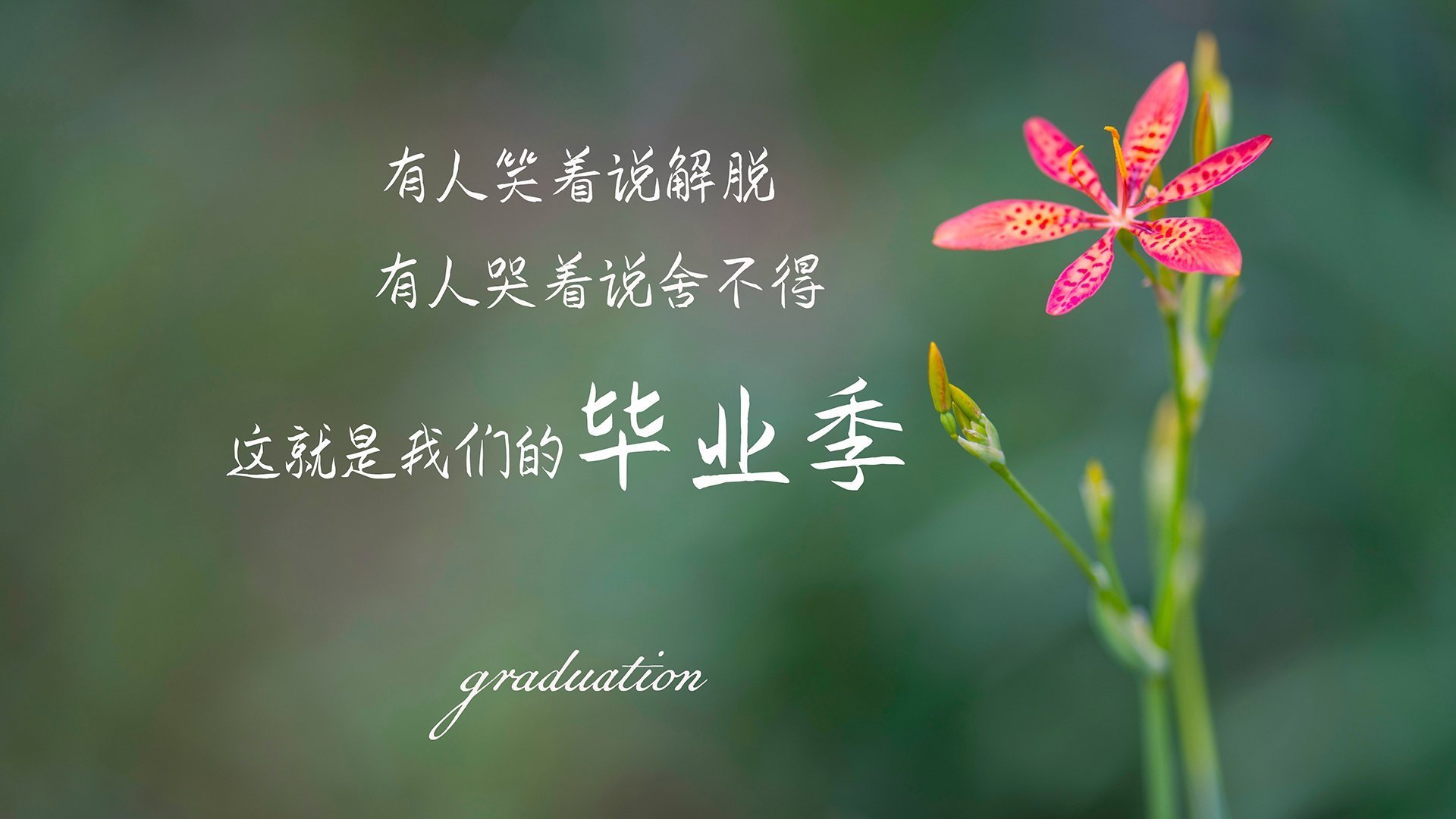 瑞典连续得分压制多特蒙德，拉亚关键先生闪耀全场