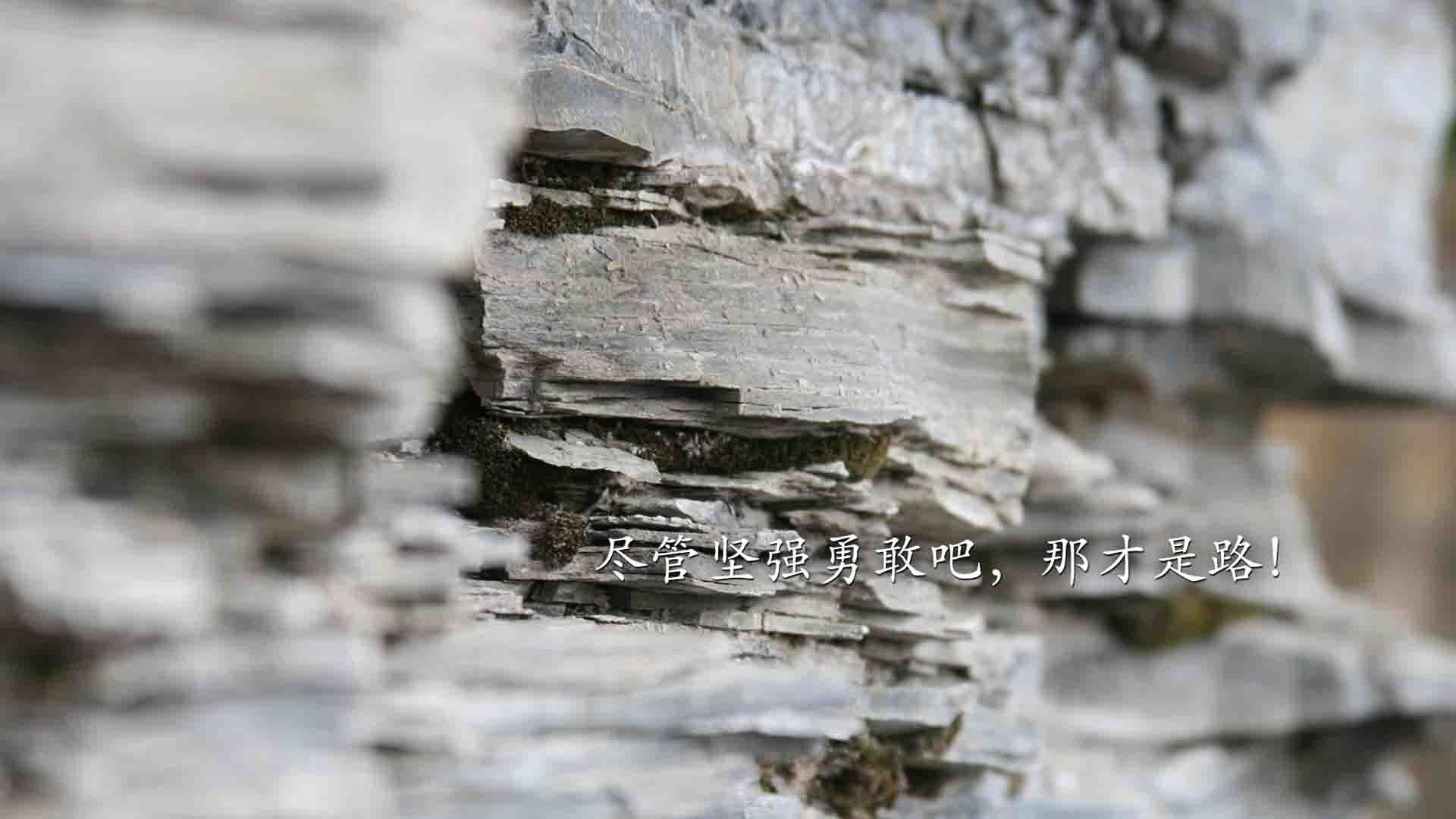 pg电子官网-尼罗河铁闸对决地中海狂澜，拉亚关键战一夫当关