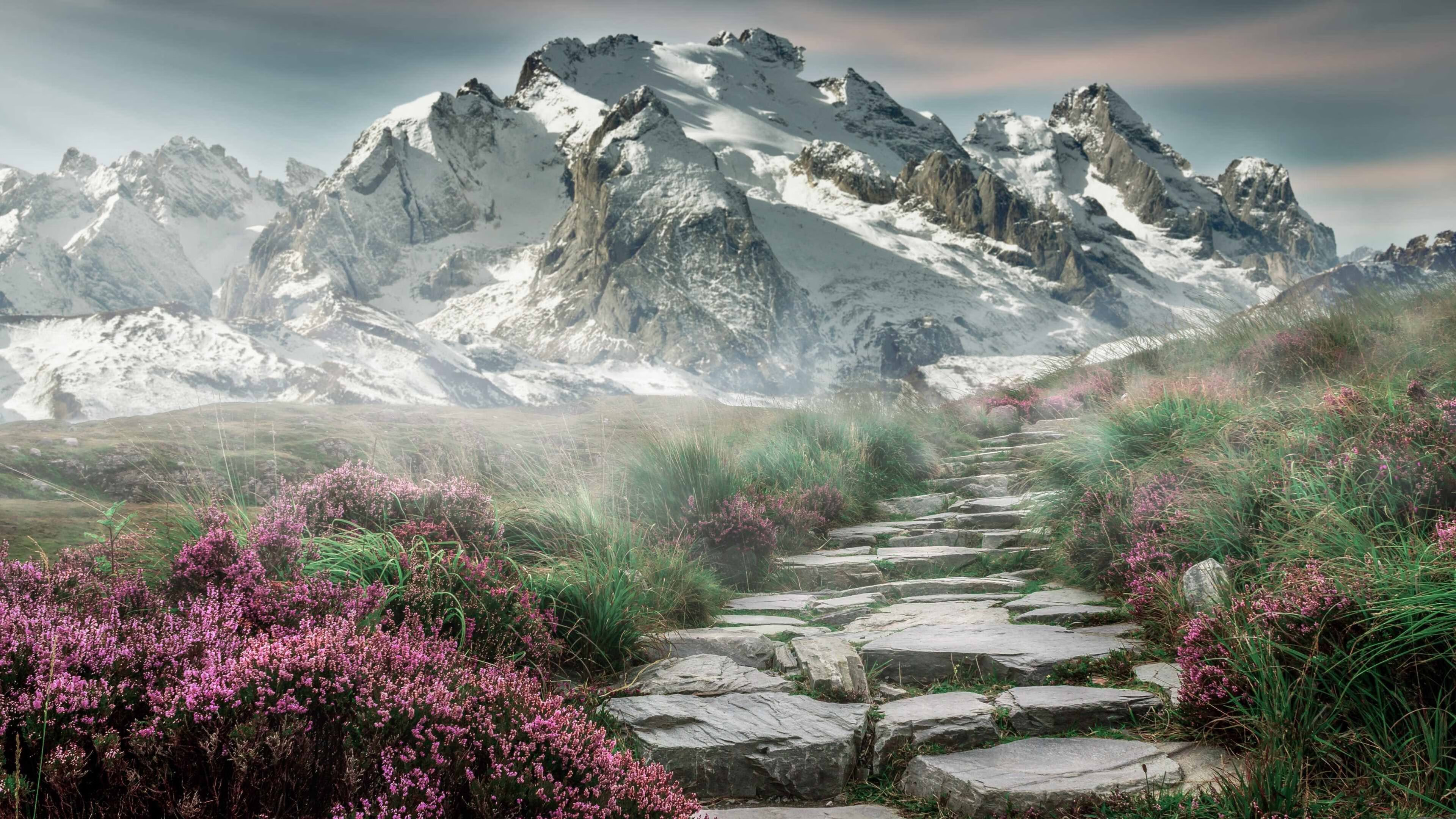 pg电子试玩-硬仗之王的加冕与北方突围，当贝林厄姆的艺术照进塞维利亚的荆棘路