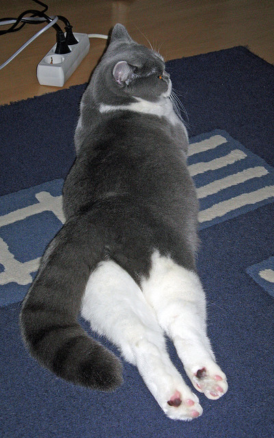 从孤胆英雄到胜利基石,杜兰特如何在公牛速胜太阳之夜重塑关键先生定义