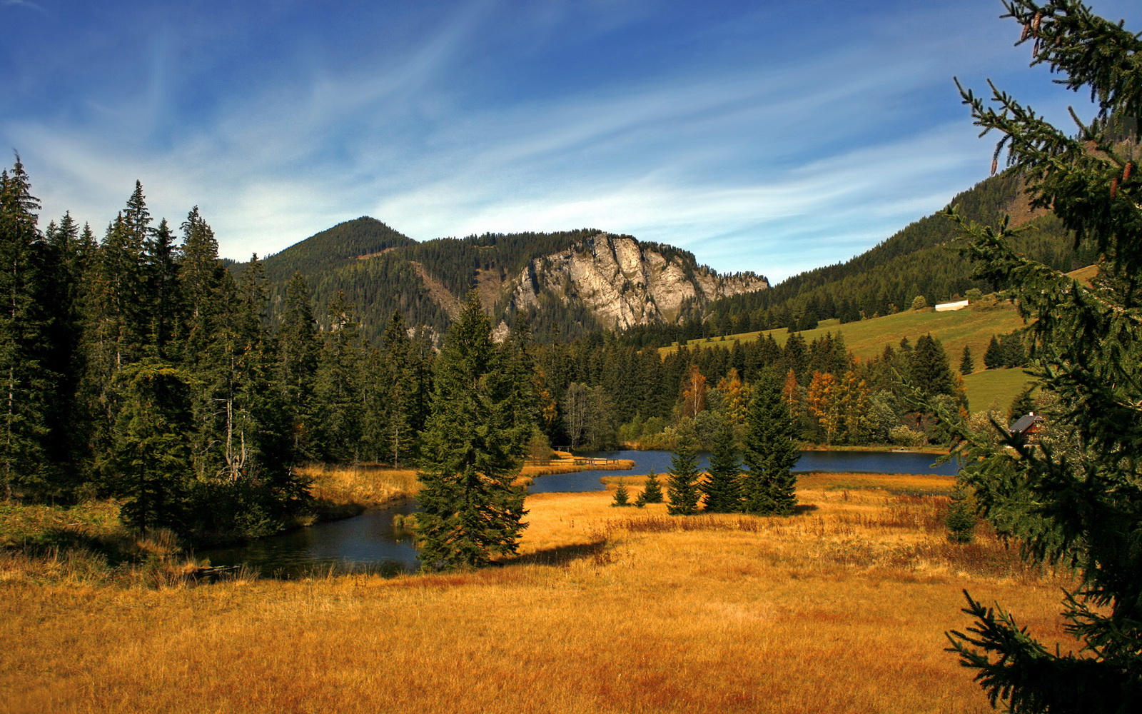 pg电子-贝林厄姆闪耀全场，巴拉圭与牙买加之战的技术解析与未来启示