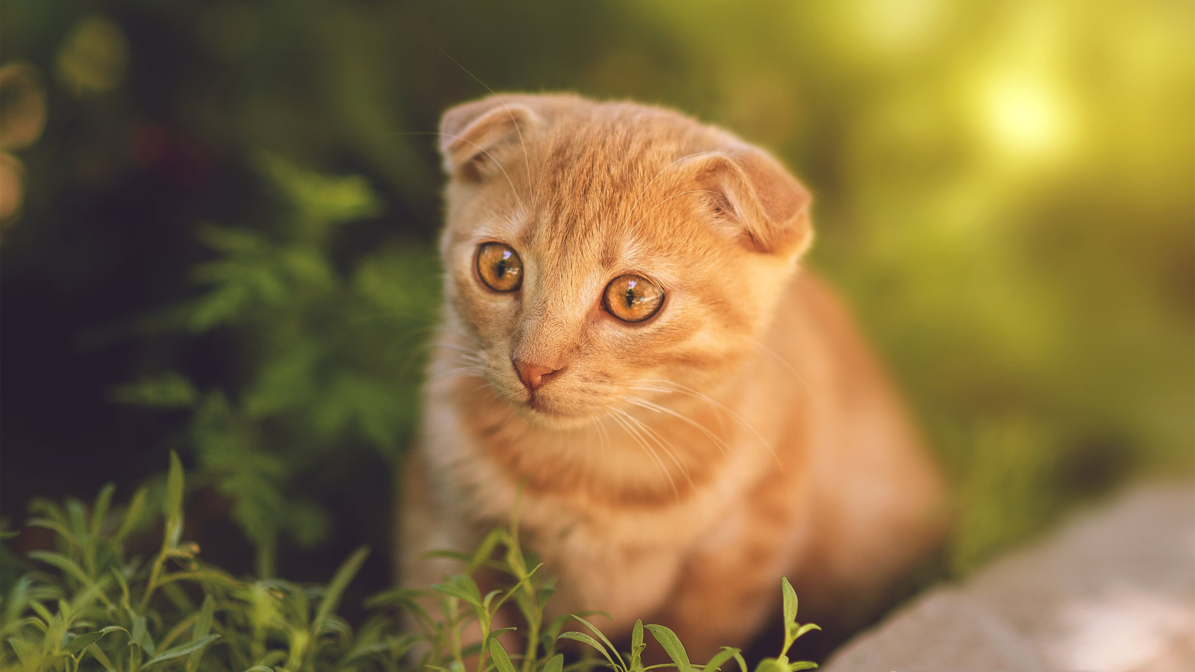 pg电子游戏-沪上风暴，表演赛变肉搏战，欧文冷血三分定乾坤