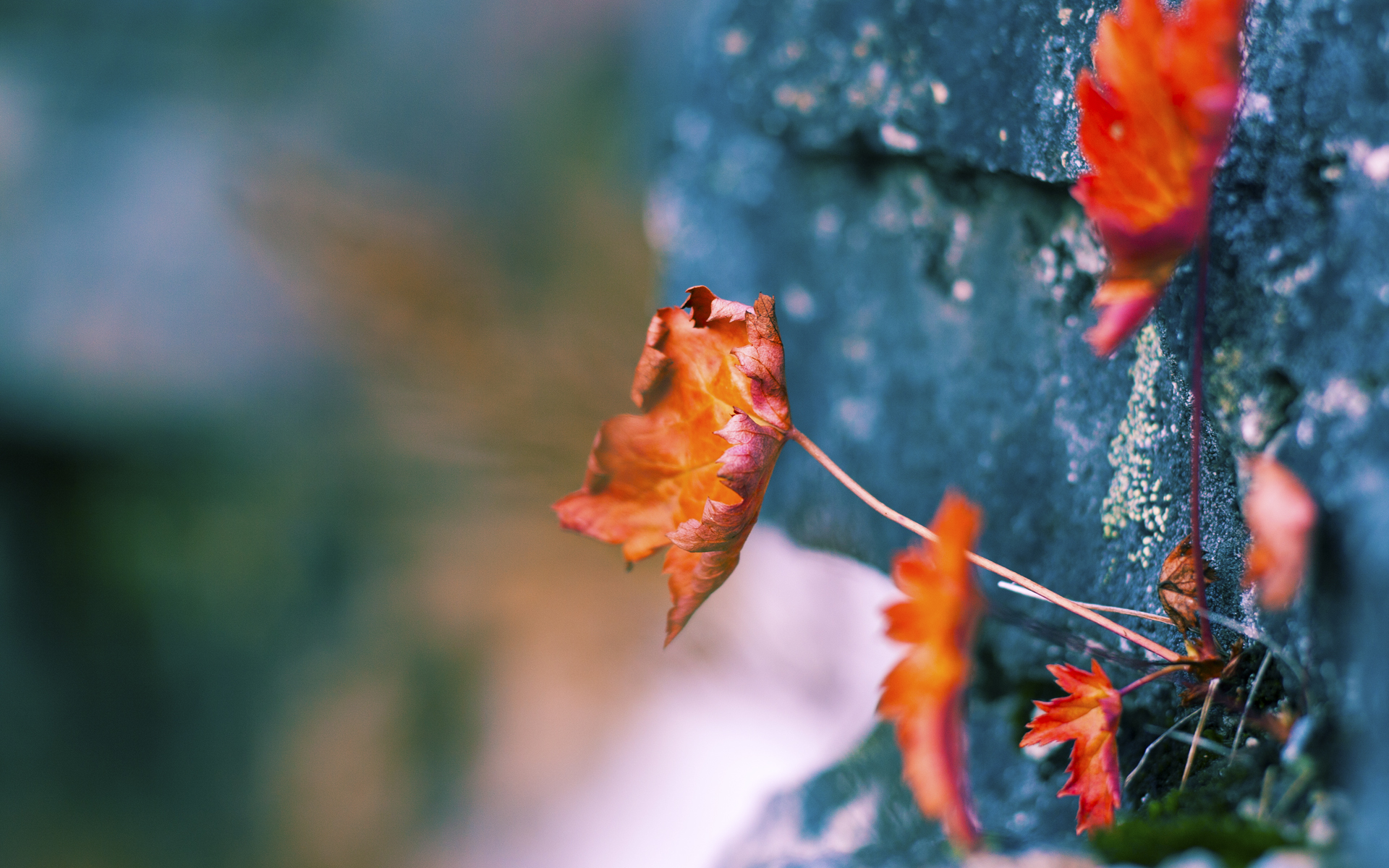 pg电子-虚拟绿茵·现实篮筐，2026世界杯焦点战预言与公牛踏平篮网的战术共鸣