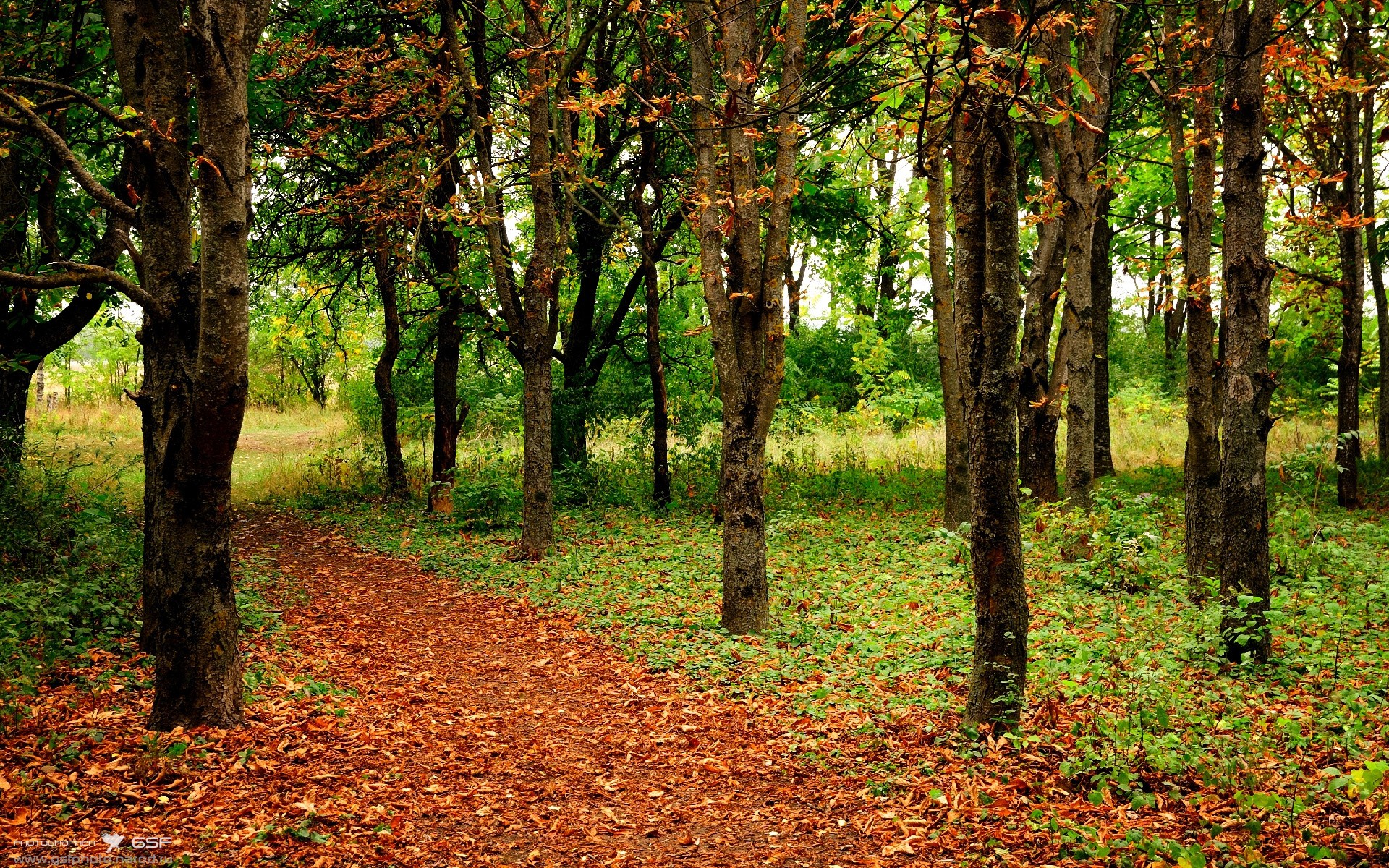 pg电子-莫兰特狂飙统治全场，上海队速胜独行侠展国际篮球风采