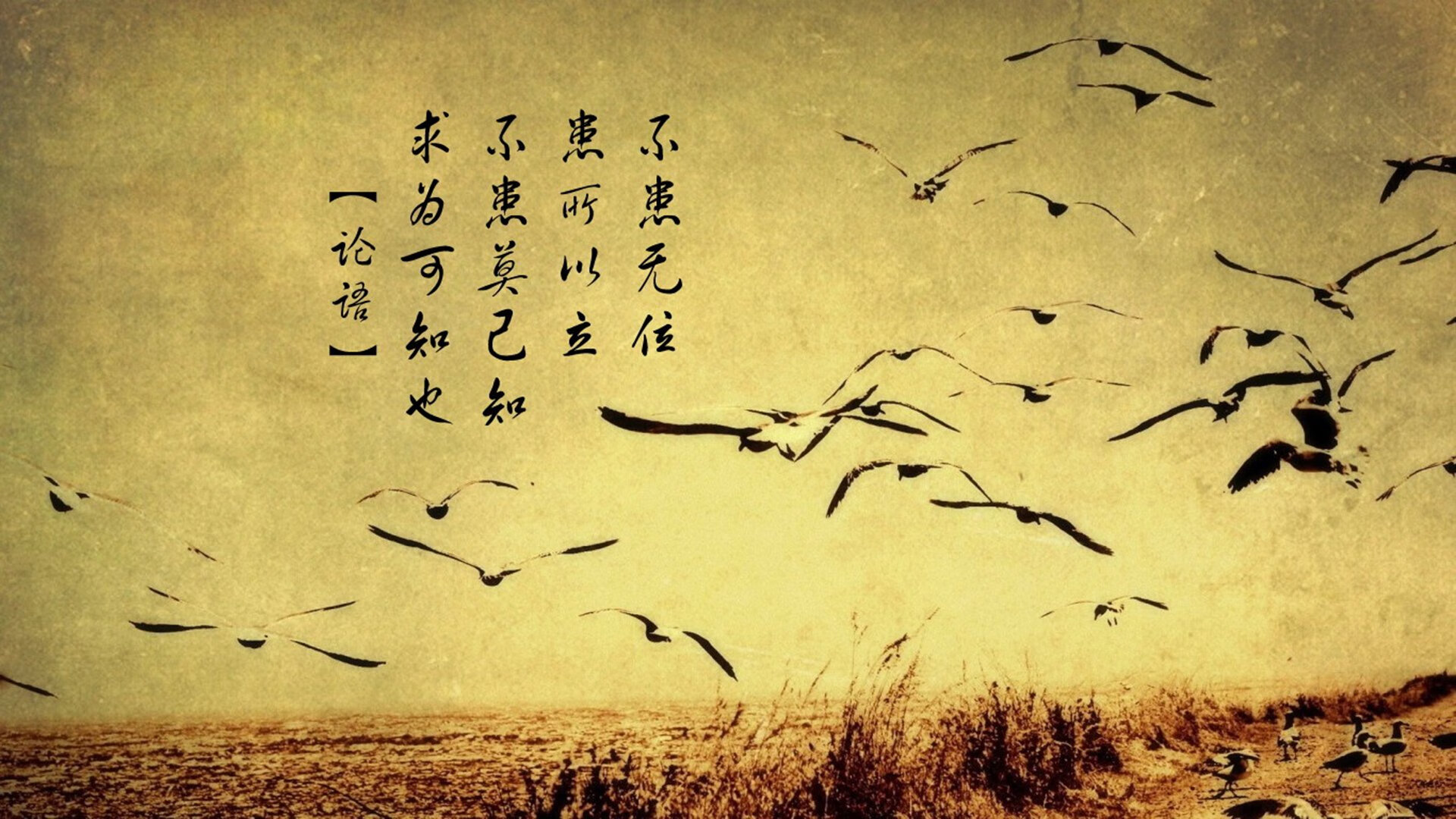 哈利伯顿闪耀京勇之战，当东方巨龙与西方巨兽碰撞，他证明了自己的王冠归属