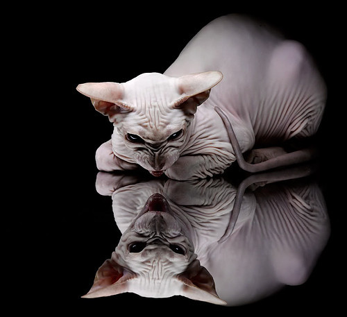 贝蒂斯踏平利物浦，阿劳霍的关键先生之夜，谱写欧战传奇