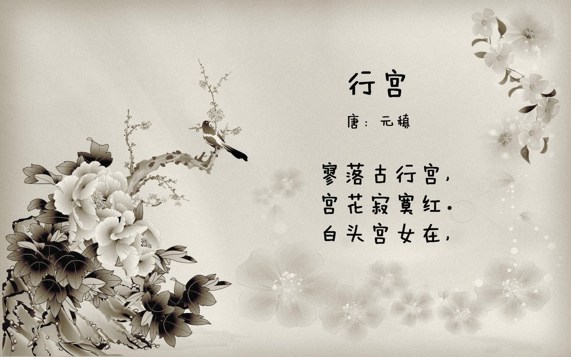 掘金掀翻公牛,战术压制的胜利与福克斯的接管时刻