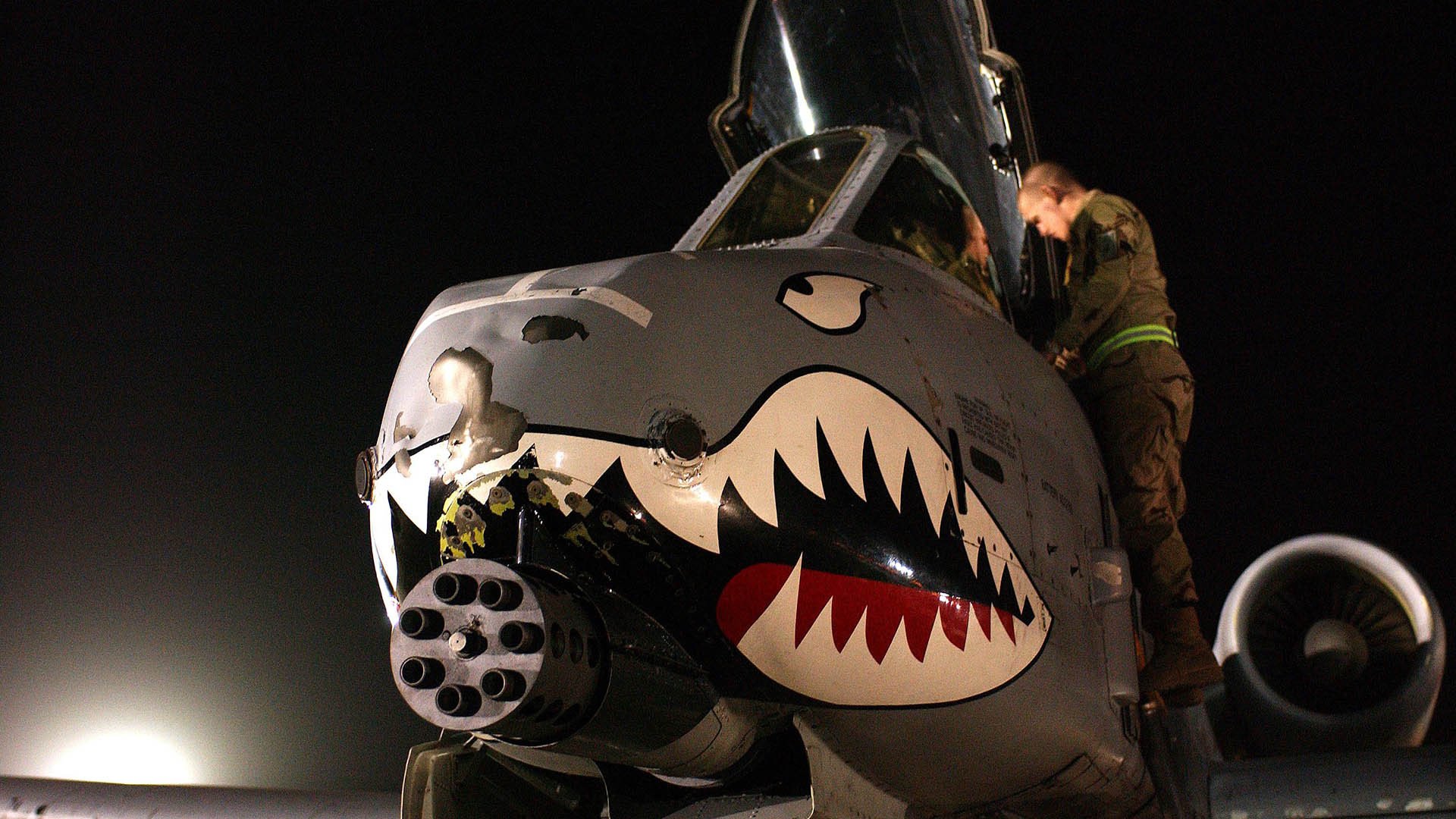 风卷残云，黄蜂掀翻掘金，布克在世界排名战中擎起王朝之柱