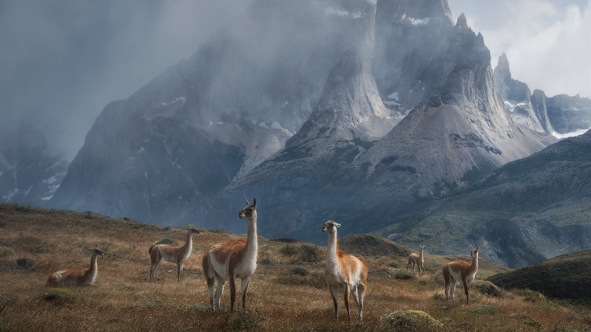 奥运周期前哨战，骑士队战术纪律奏效力克新疆，关键战揭示争冠风向