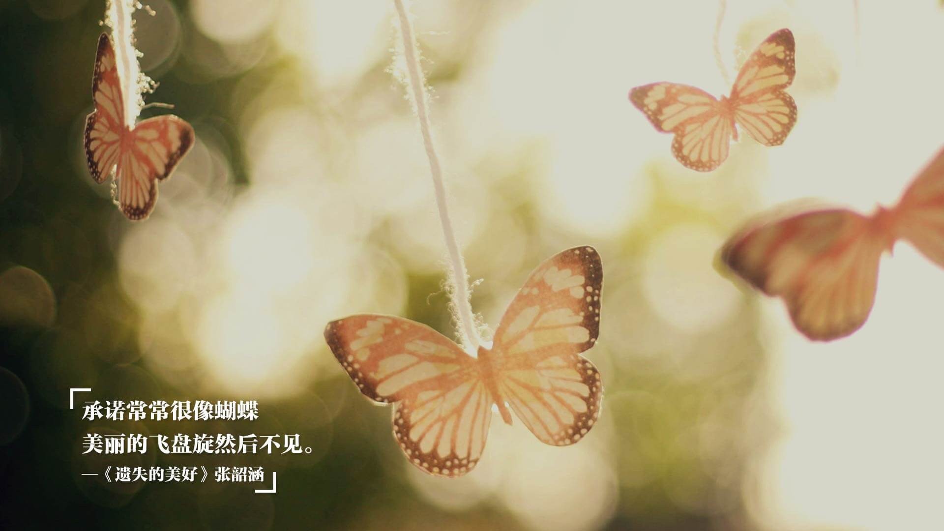 pg电子游戏-欧冠决赛之夜，活塞踏平深圳队，篮球跨域焦点战全记录