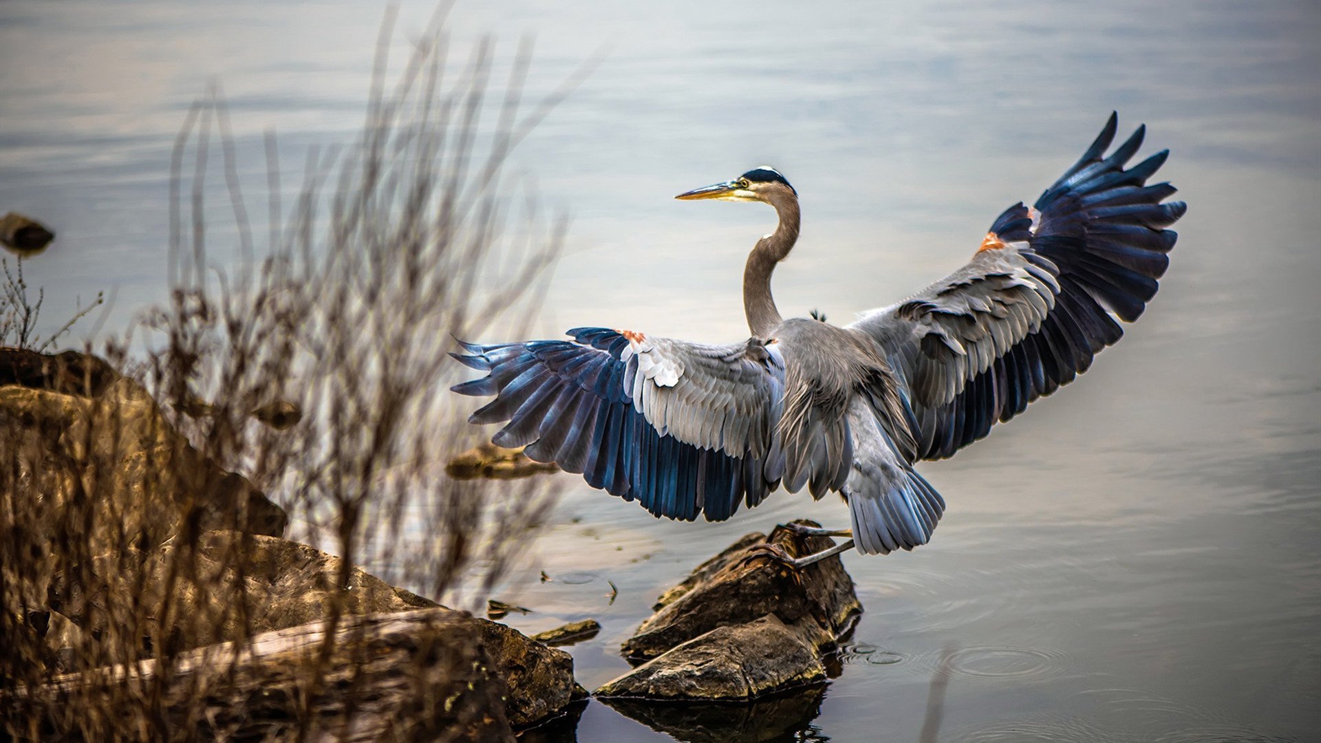 哈登，一人改写剧本，步行者铁血攻克克城
