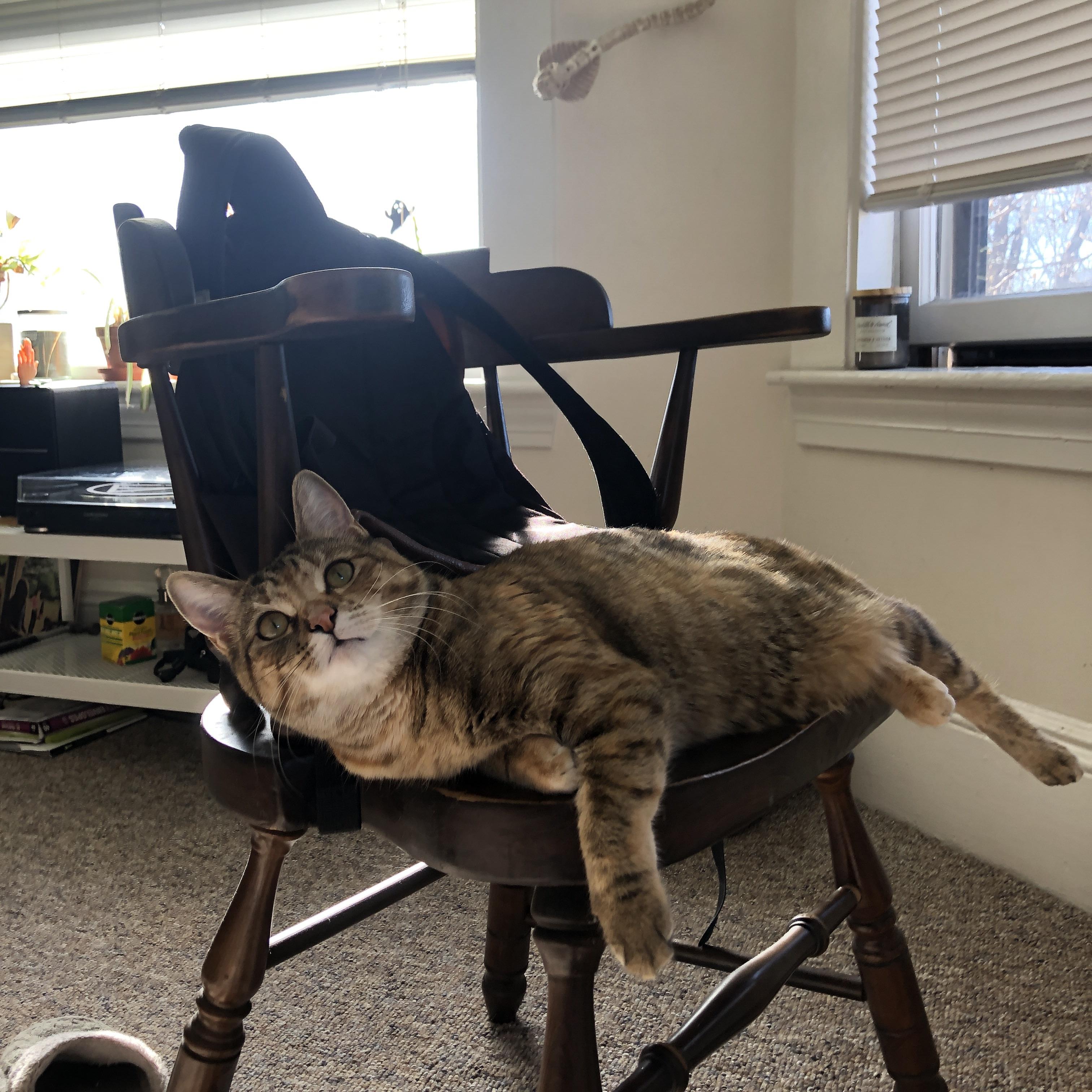 哈登，一人改写剧本，步行者铁血攻克克城