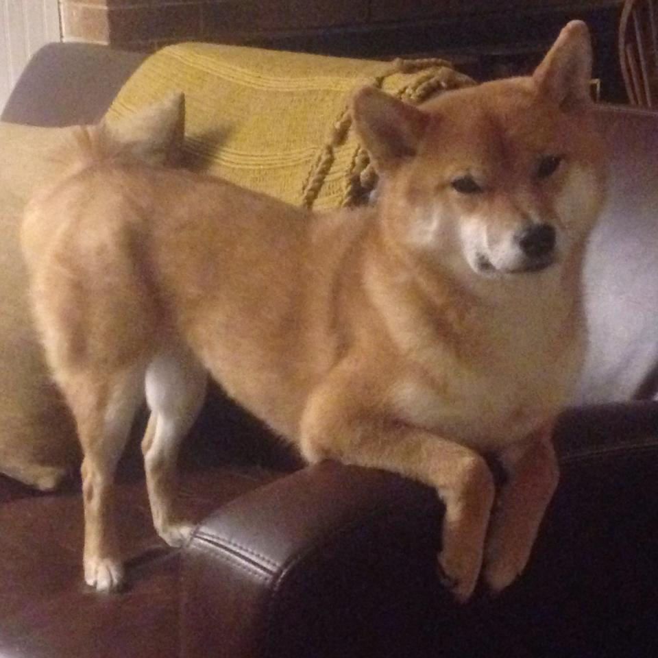 萨拉赫打出统治级数据，比利亚雷亚尔力克洪都拉斯