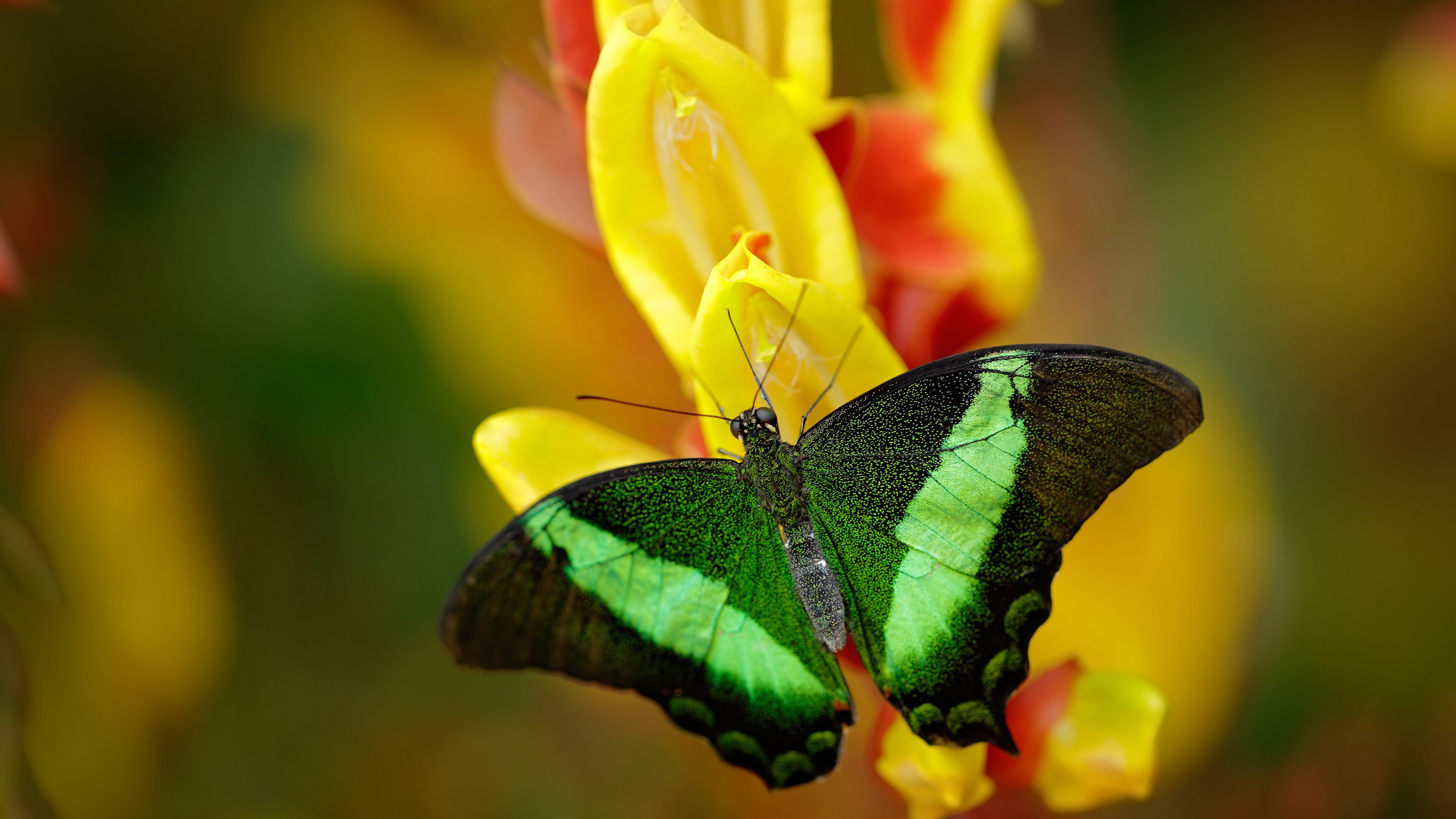 孤胆英雄与他的沉默战争，姆巴佩扛起全队的欧冠淘汰赛之夜