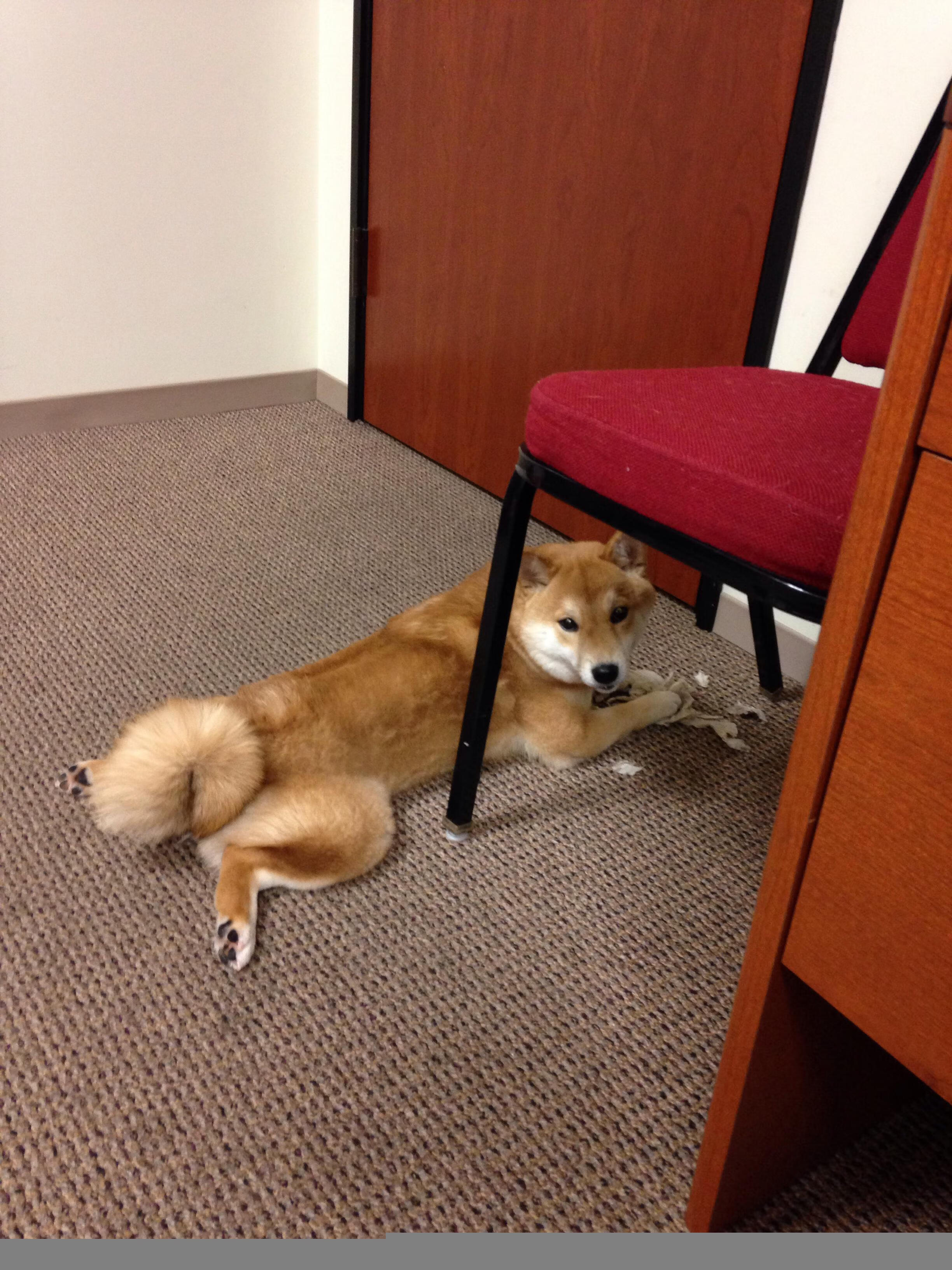 世界排名争夺战焦点战，山西队火力全开，压制勇士队赢得关键胜利