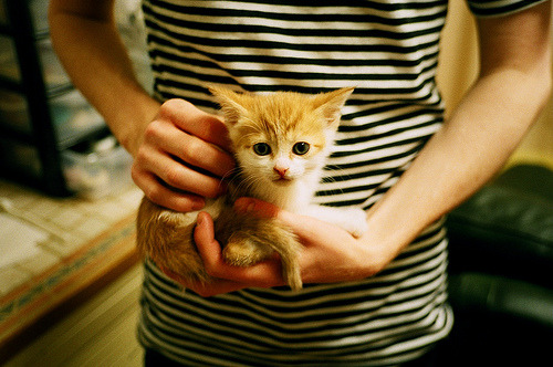 战术革命！一个法国后卫如何用苏格兰节奏肢解法甲劲旅？