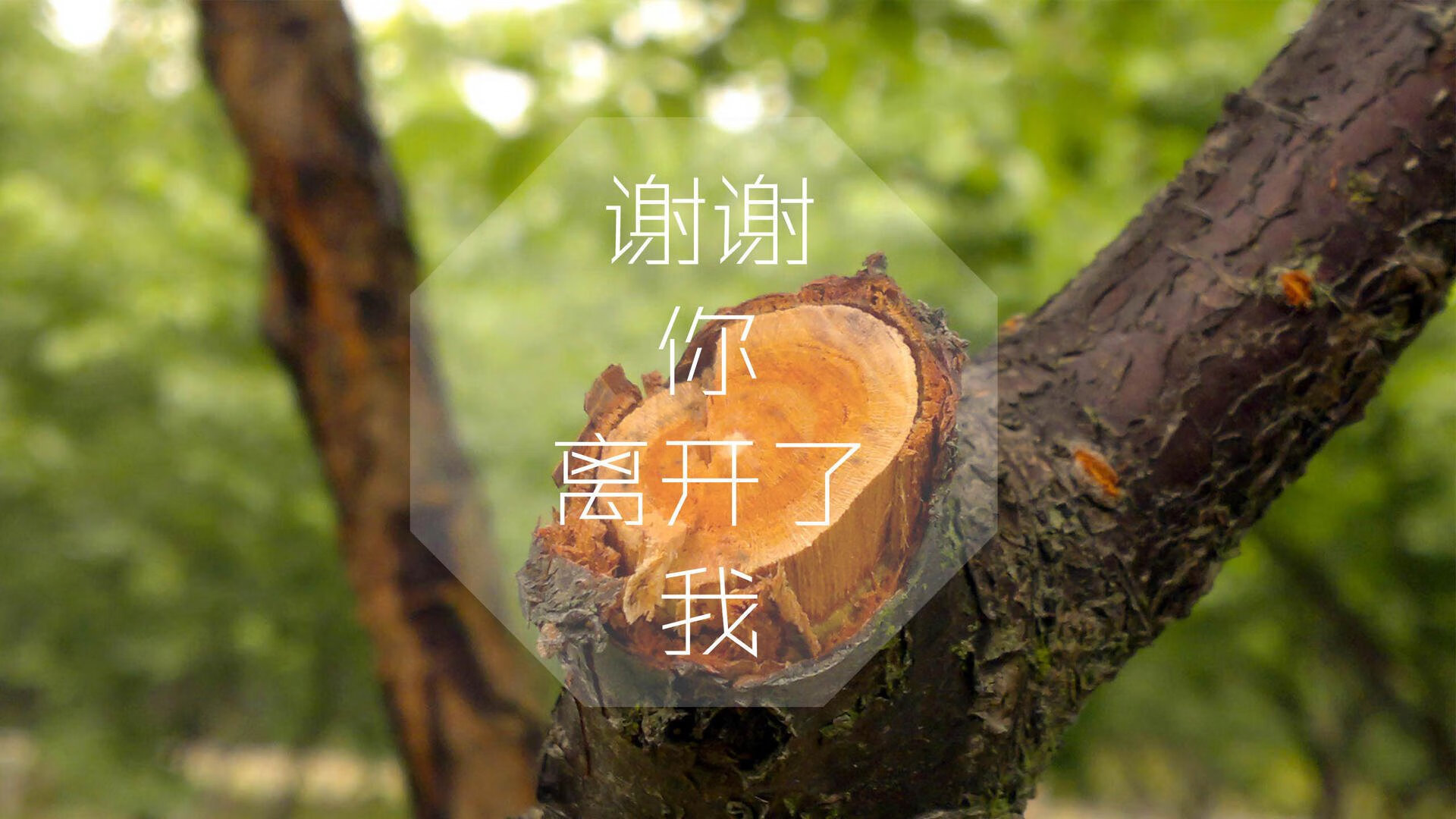 橙衣军团折戟,波兰铁骑踏破郁金香,努涅斯独造三球引爆2026世界杯H组焦点战