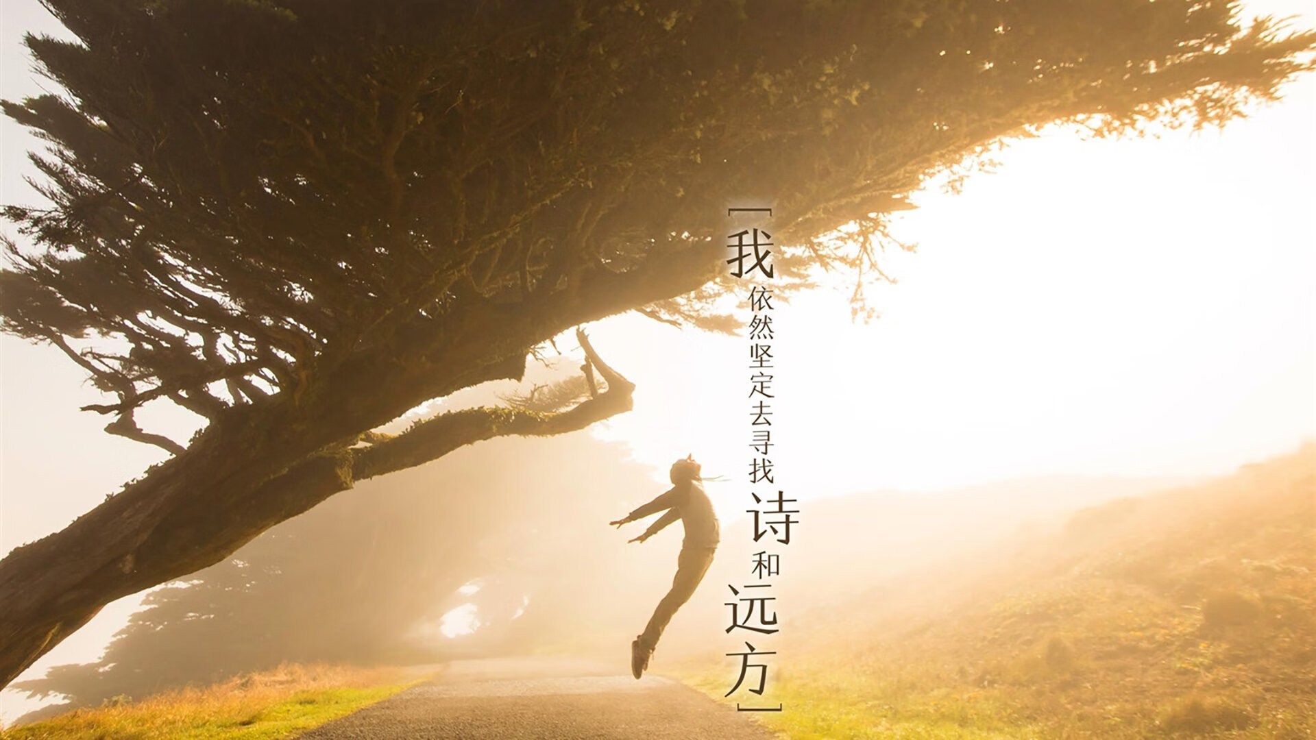 东方武士的奇迹,塔雷米导演经典,日本战术完胜英格兰挺进世界杯决赛